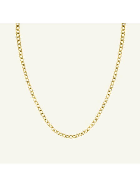Rosefield Rosefield náhrdelník zlatej farby Oval Chainlink JNOCG-J626