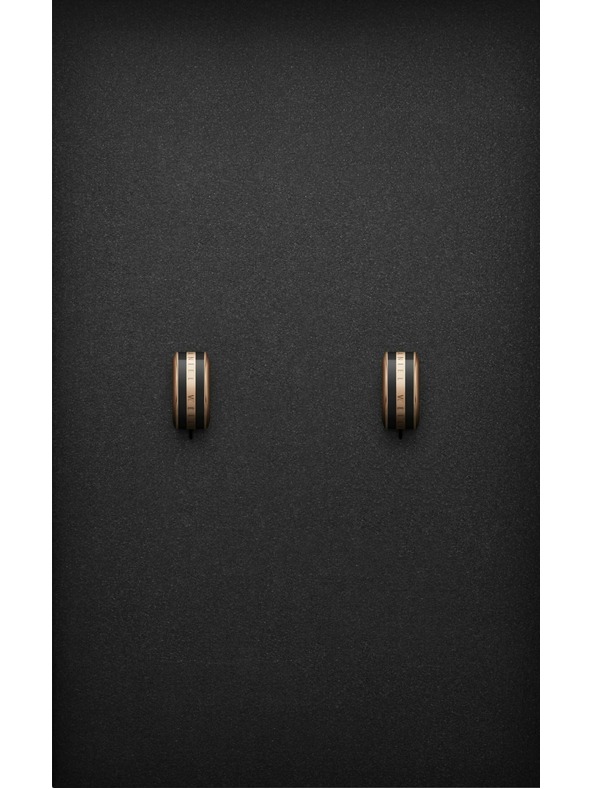 Daniel Wellington Oceľové náušnice Daniel Wellington DW00400310