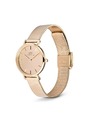 Daniel Wellington Dámske hodinky Daniel Wellington Petite 28 DW00100795