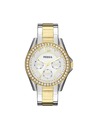 Fossil Dámske guľaté hodinky Fossil RILEY ES3204