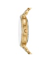 Michael Kors Dámske hodinky Michael Kors PYPER MK4593