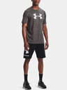 Under Armour Pánske tričko Under Armour Big Logo Ss
