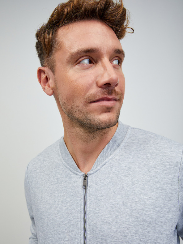 ZOOT.lab Svetlošedá pánska žíhaná základná mikina na zips ZOOT.lab Keanu