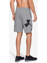 Under Armour Pánske kraťasy Under Armour Rival Fleece Logo Sweatshort
