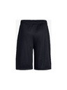 Under Armour Chlapčenské kraťasy Under Armour Prototype Logo Shorts