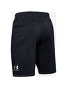 Under Armour Pánske kraťasy Under Armour SPECKLED FLEECE SHORT