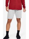 Under Armour Pánske kraťasy Under Armour SPECKLED FLEECE SHORT